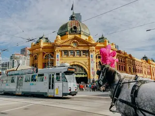 Fitzroy